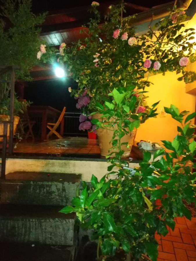 La Fenice Montefiascone Exterior foto