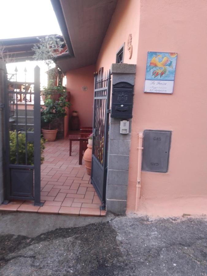 La Fenice Montefiascone Exterior foto