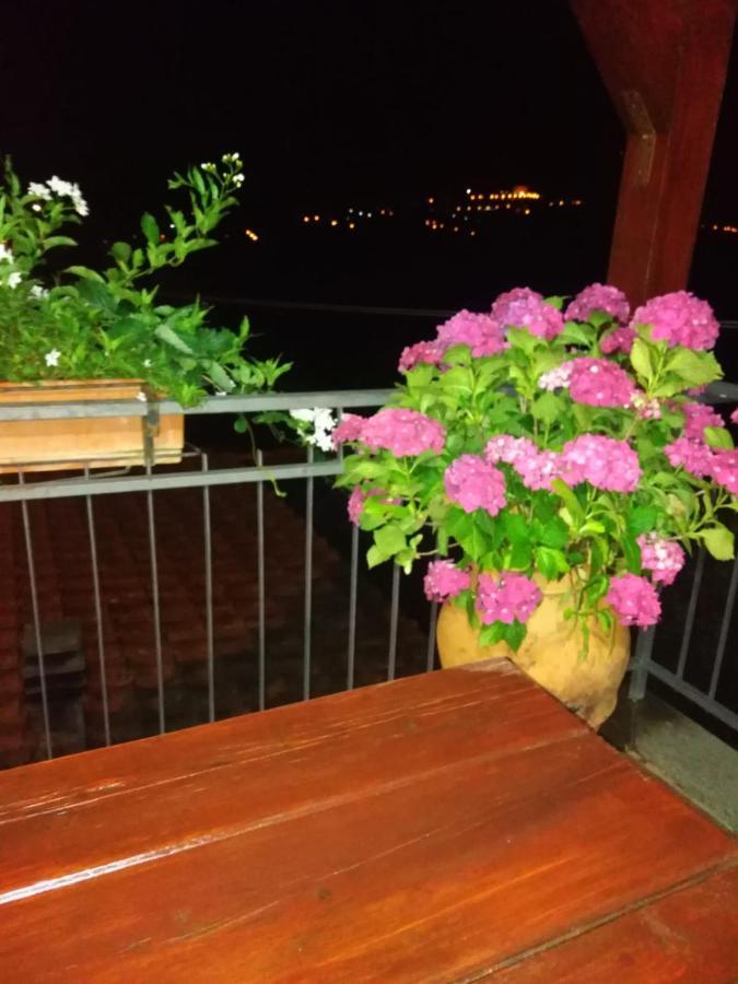 La Fenice Montefiascone Exterior foto