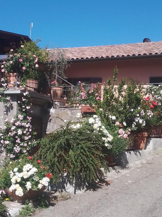 La Fenice Montefiascone Exterior foto